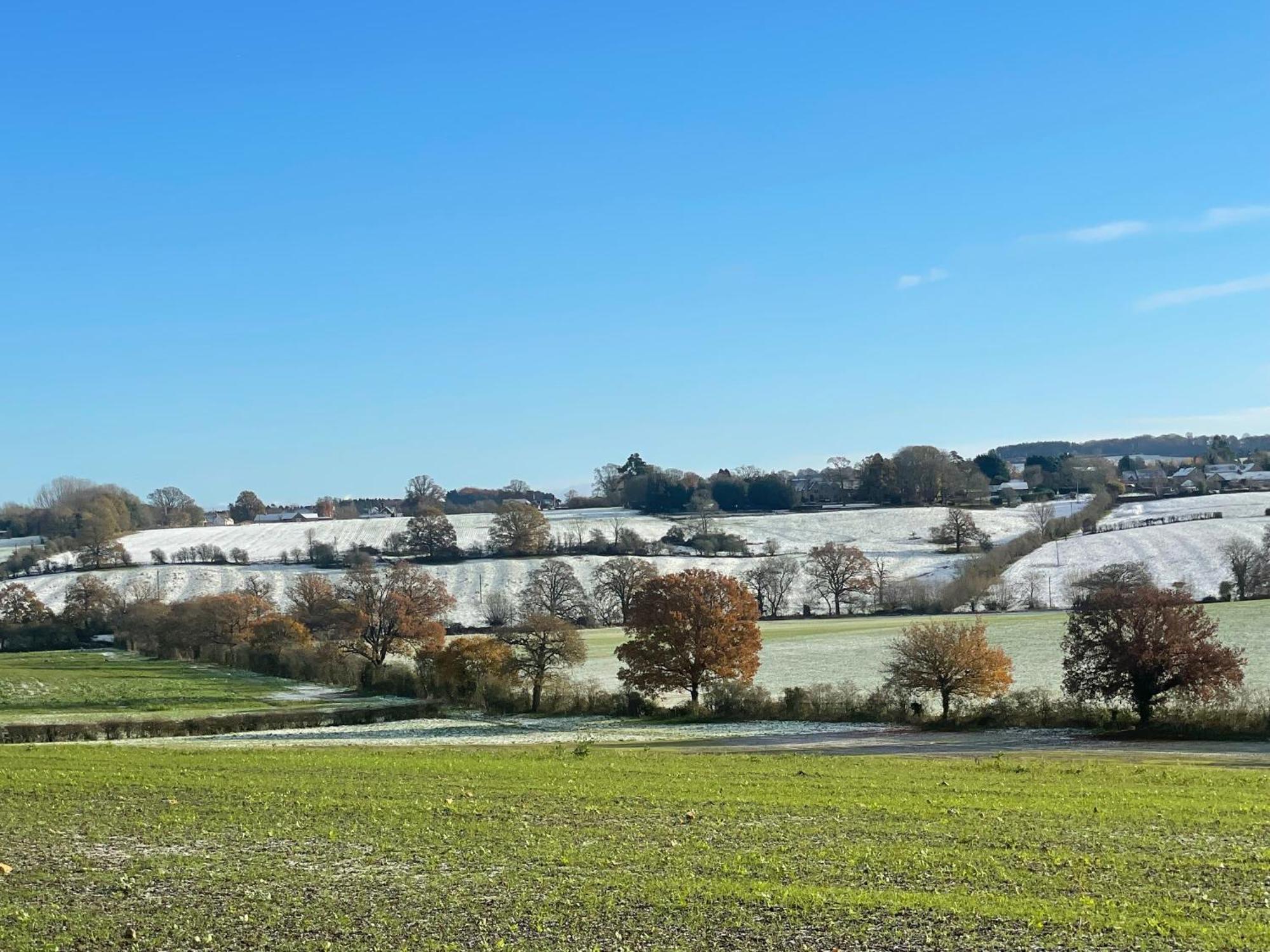 Bank Cottage Studio - Luxury Cotswolds Haven For Two Shipston-on-Stour Εξωτερικό φωτογραφία